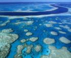 Great Barrier Reef, dünya çapında en büyük mercan kayalıkları. Avustralya.